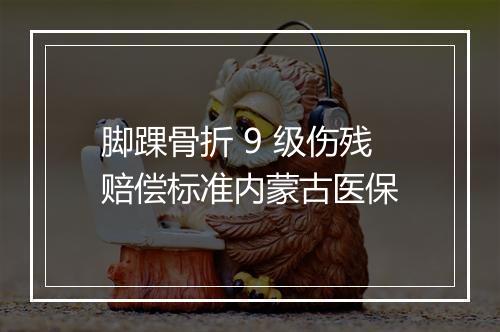 脚踝骨折 9 级伤残赔偿标准内蒙古医保