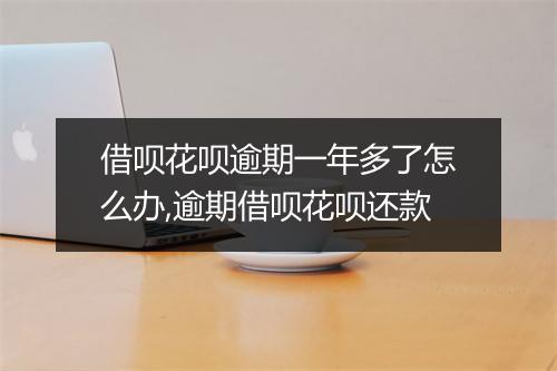 借呗花呗逾期一年多了怎么办,逾期借呗花呗还款
