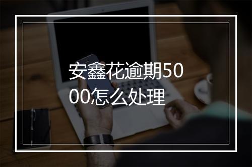 安鑫花逾期5000怎么处理