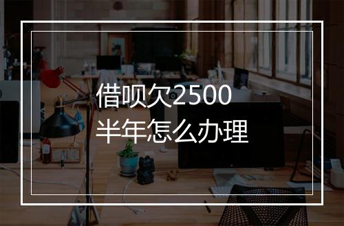 借呗欠2500半年怎么办理
