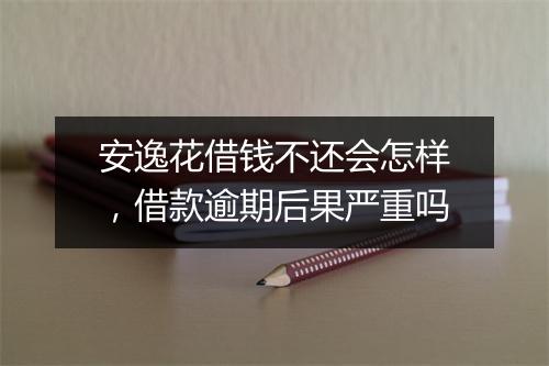 安逸花借钱不还会怎样，借款逾期后果严重吗