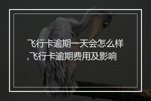 飞行卡逾期一天会怎么样,飞行卡逾期费用及影响