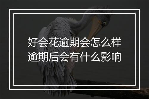 好会花逾期会怎么样逾期后会有什么影响
