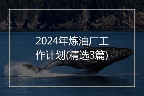 2024年炼油厂工作计划(精选3篇)