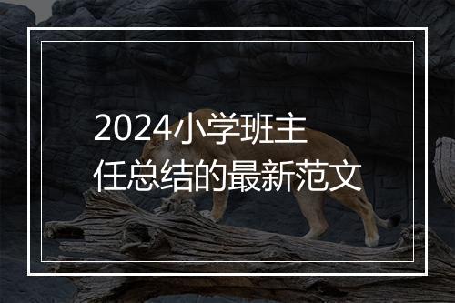 2024小学班主任总结的最新范文