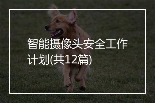 智能摄像头安全工作计划(共12篇)
