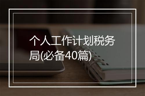 个人工作计划税务局(必备40篇)