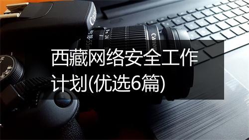 西藏网络安全工作计划(优选6篇)