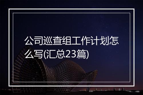 公司巡查组工作计划怎么写(汇总23篇)
