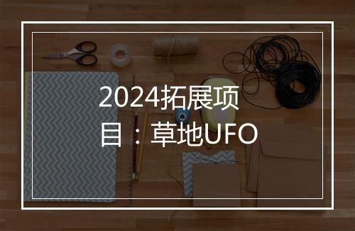 2024拓展项目：草地UFO