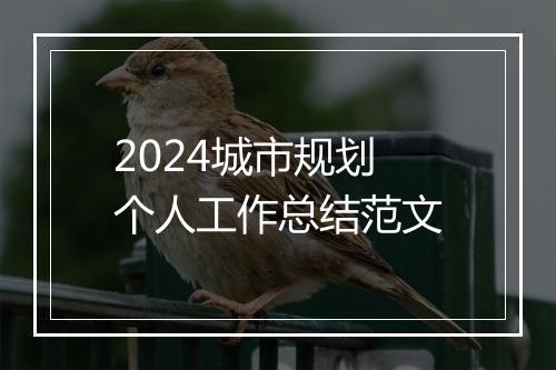 2024城市规划个人工作总结范文