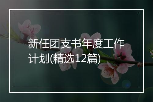 新任团支书年度工作计划(精选12篇)