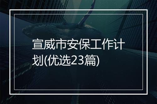 宣威市安保工作计划(优选23篇)