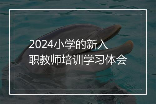 2024小学的新入职教师培训学习体会