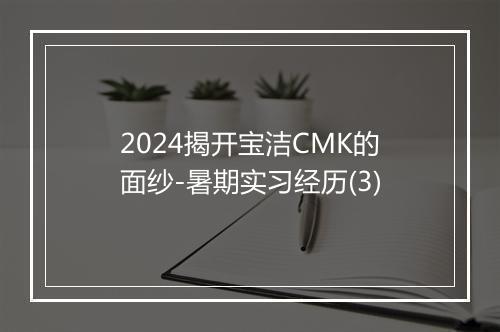 2024揭开宝洁CMK的面纱-暑期实习经历(3)