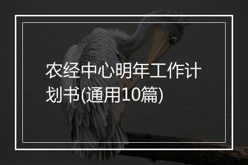 农经中心明年工作计划书(通用10篇)