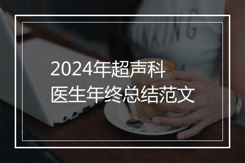 2024年超声科医生年终总结范文