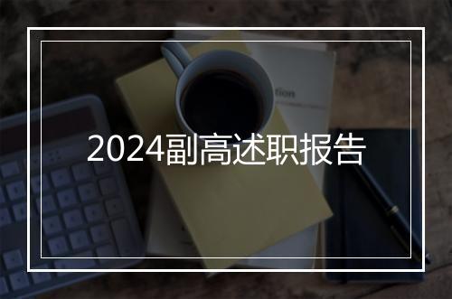 2024副高述职报告