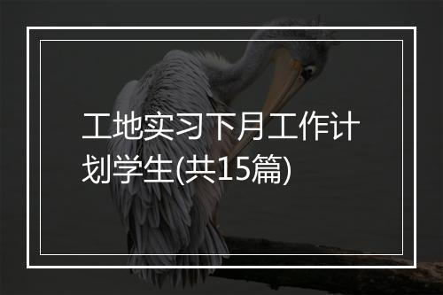 工地实习下月工作计划学生(共15篇)