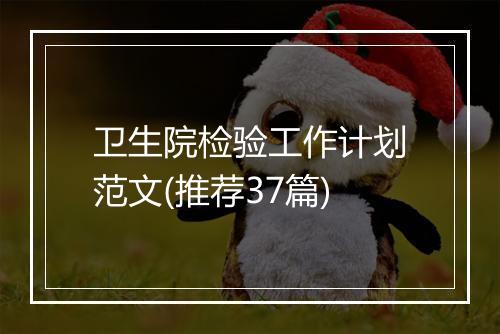 卫生院检验工作计划范文(推荐37篇)