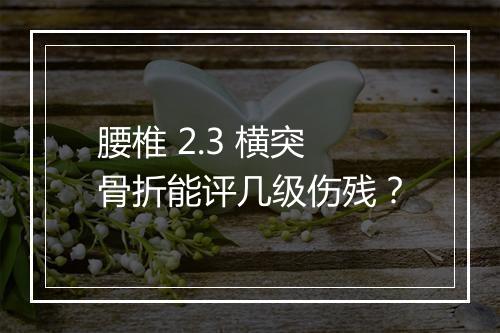腰椎 2.3 横突骨折能评几级伤残？