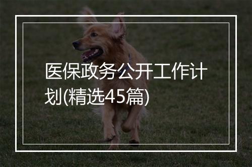 医保政务公开工作计划(精选45篇)