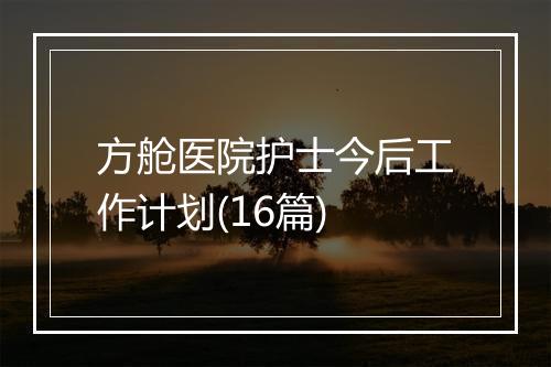 方舱医院护士今后工作计划(16篇)