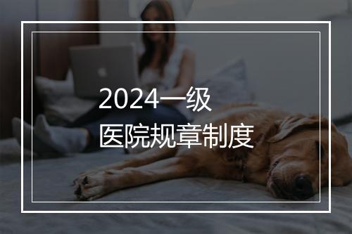 2024一级医院规章制度