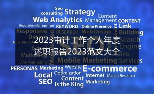 2023审计工作个人年度述职报告2023范文大全