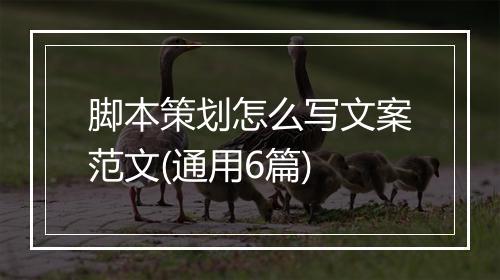 脚本策划怎么写文案范文(通用6篇)