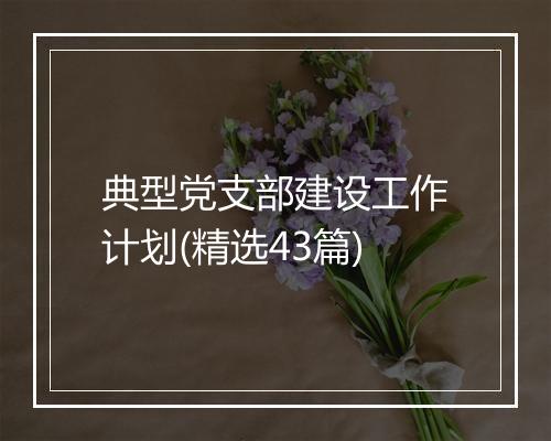 典型党支部建设工作计划(精选43篇)