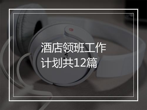 酒店领班工作计划共12篇