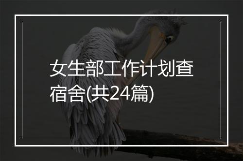 女生部工作计划查宿舍(共24篇)