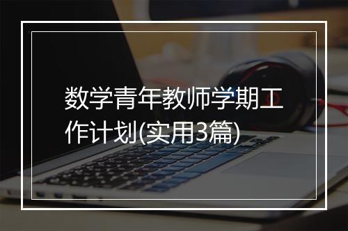 数学青年教师学期工作计划(实用3篇)