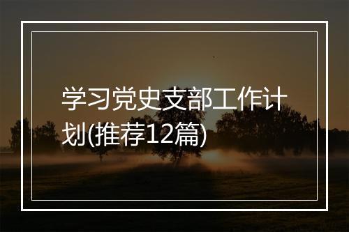 学习党史支部工作计划(推荐12篇)