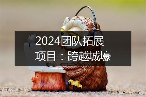 2024团队拓展项目：跨越城壕
