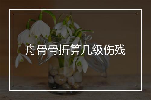 舟骨骨折算几级伤残