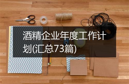 酒精企业年度工作计划(汇总73篇)