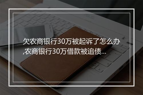 欠农商银行30万被起诉了怎么办,农商银行30万借款被追债处理攻略