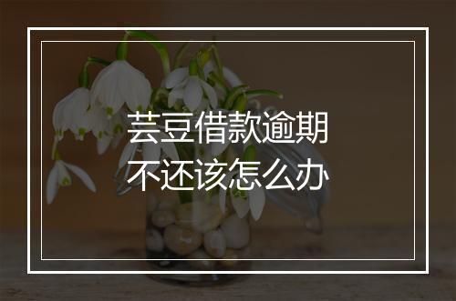 芸豆借款逾期不还该怎么办