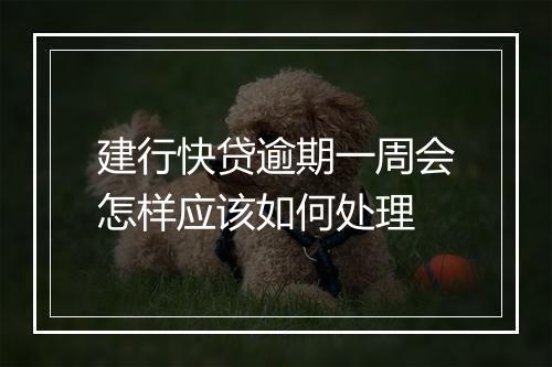 建行快贷逾期一周会怎样应该如何处理
