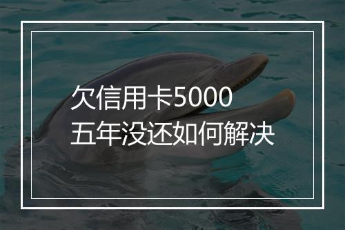 欠信用卡5000五年没还如何解决