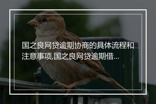 国之良网贷逾期协商的具体流程和注意事项,国之良网贷逾期借款如何处理