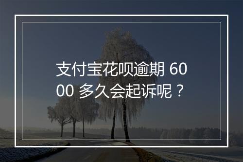 支付宝花呗逾期 6000 多久会起诉呢？