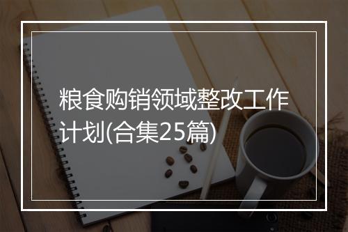 粮食购销领域整改工作计划(合集25篇)
