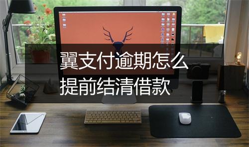 翼支付逾期怎么提前结清借款