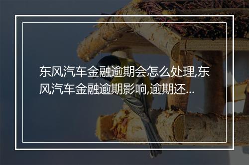 东风汽车金融逾期会怎么处理,东风汽车金融逾期影响,逾期还款后果