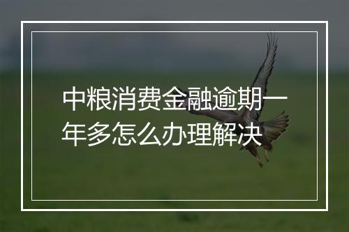 中粮消费金融逾期一年多怎么办理解决
