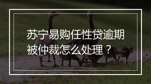 苏宁易购任性贷逾期被仲裁怎么处理？