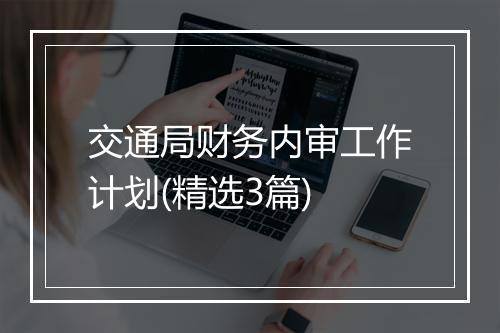 交通局财务内审工作计划(精选3篇)